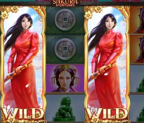 Sakuranın şansı Sakuranın şansı